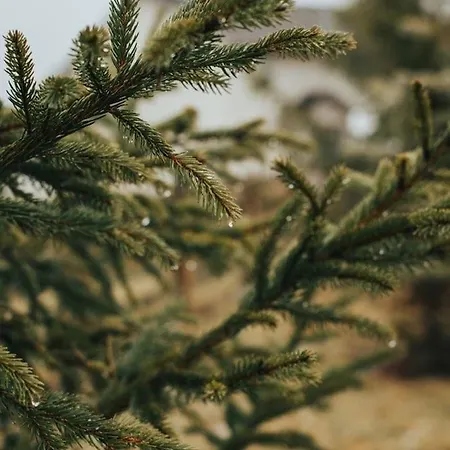 Hotell Le Cro-bidou Bernex